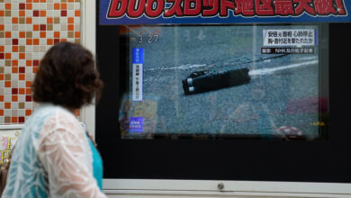 ¿Abe Shooting refleja el éxito de las leyes de armas de Japón, no el fracaso?