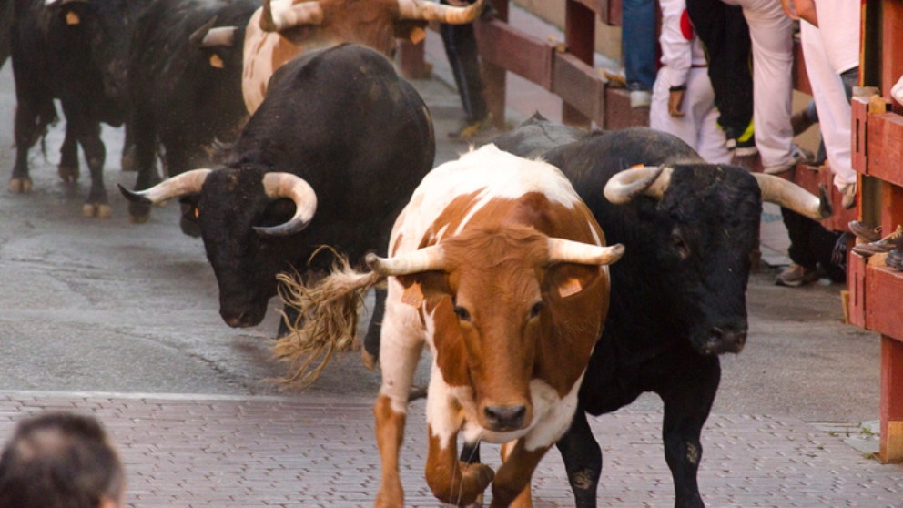 ¿Cuándo empiezan los encierros de San Fermín 2019?