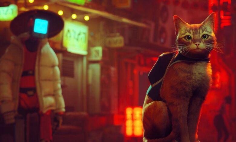 ¿El gato muere en Stray?