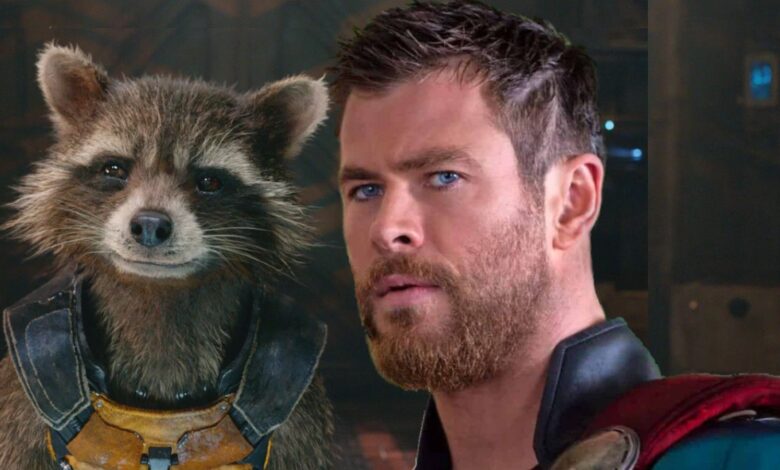 ¿Por qué Thor realmente llama a Rocket Raccoon un conejo?