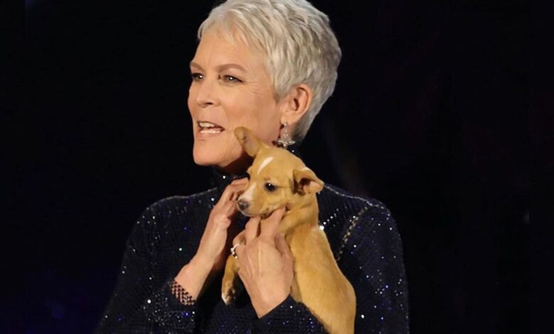 ¿Qué es la caridad de Jamie Lee Curtis? Mi mano en la tuya de RHOBH