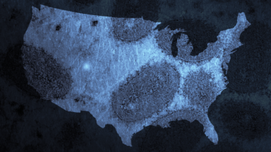 ¿Qué es la viruela del mono y dónde se propagan los casos? Mapa muestra brote en EEUU