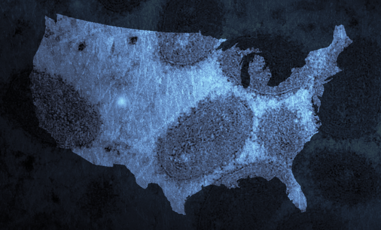 ¿Qué es la viruela del mono y dónde se propagan los casos? Mapa muestra brote en EEUU