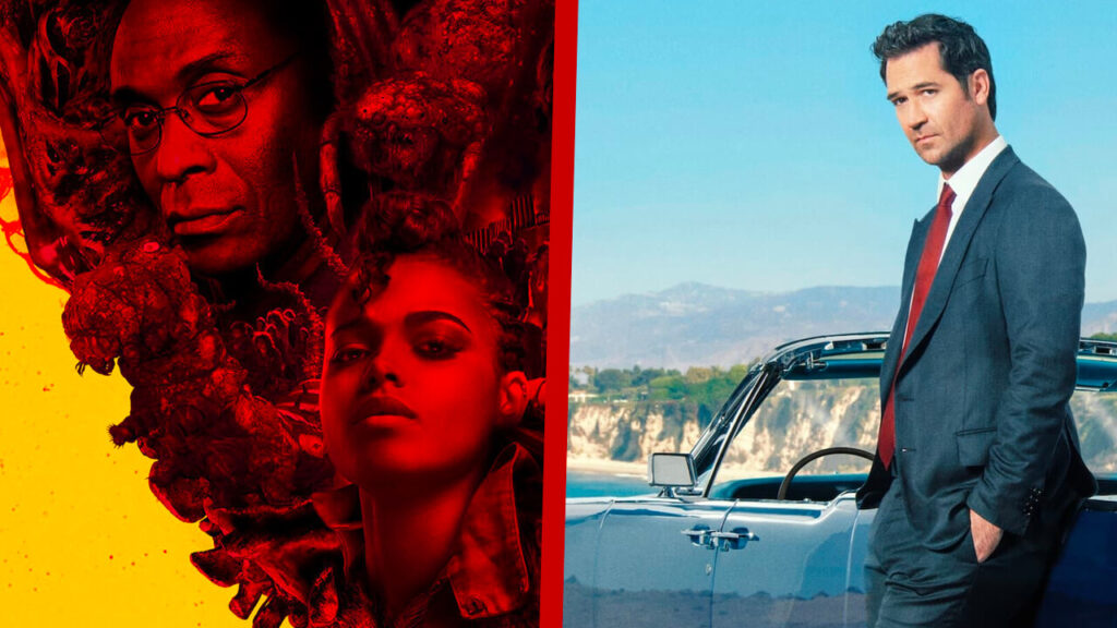 ¿Son las tasas de finalización clave para las cancelaciones de Netflix?