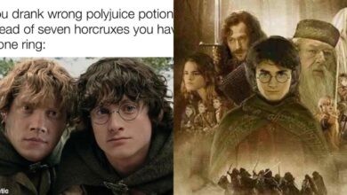 10 divertidos memes que prueban que Harry Potter y El señor de los anillos son demasiado parecidos