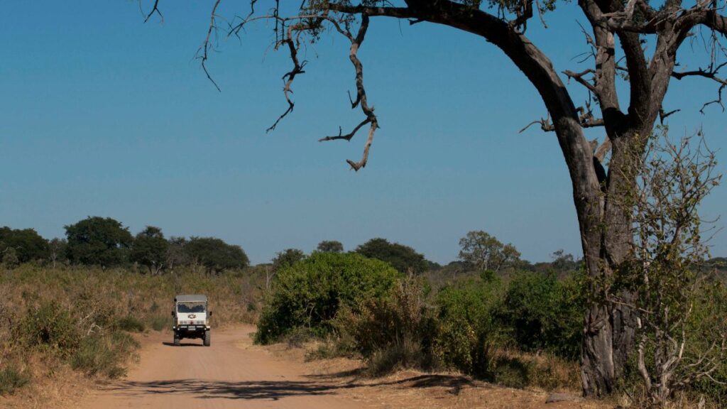 Lo hallan culpable de matar a su esposa en safari en África