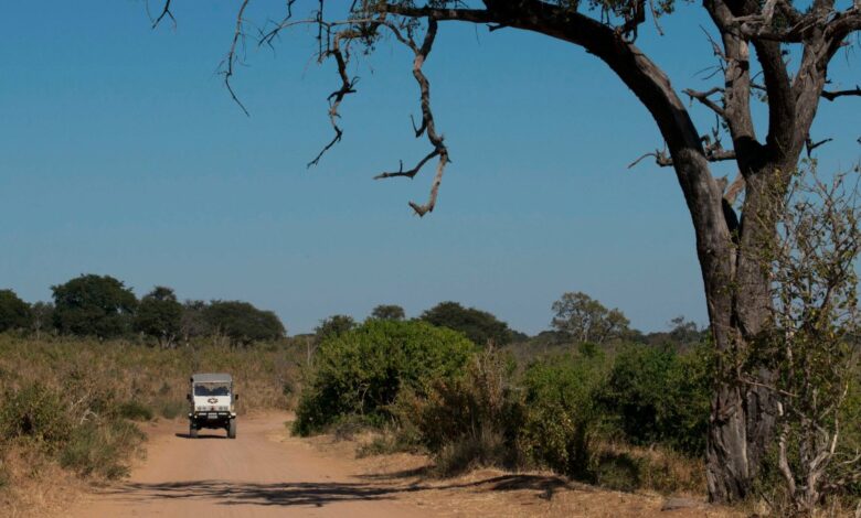 Lo hallan culpable de matar a su esposa en safari en África