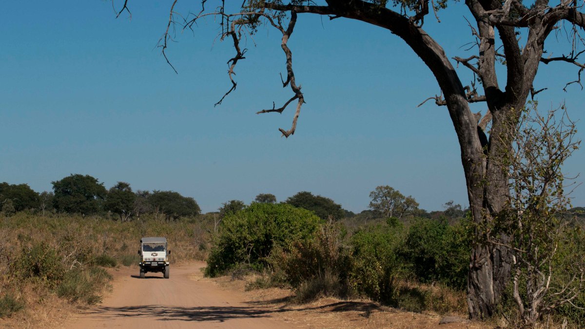 Lo hallan culpable de matar a su esposa en safari en África
