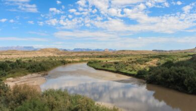 Peligra el habitat del carpa chamizal al secarse el río Grande