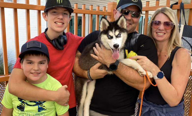 Familia adopta a cachorro que estuvo encerrado en un estacionamiento de un hotel de Las Vegas en altas temperaturas