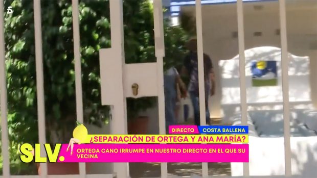 Ortega Cano en 'Sálvame' / Telecinco