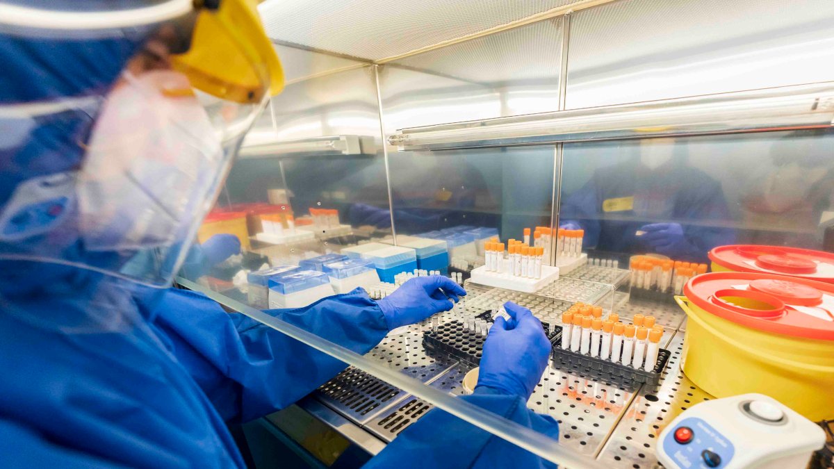 Preocupante dos nuevas variantes de Ómicron ante su ligera propagación