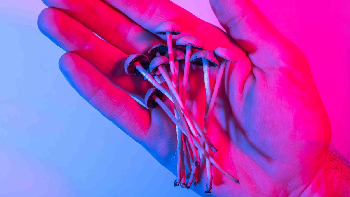 Este es el compuesto de hongo psicodélico que podría reducir el alcoholismo