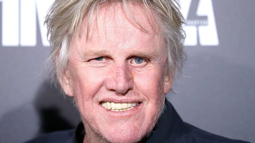 Acusan al actor Gary Busey de delitos sexuales