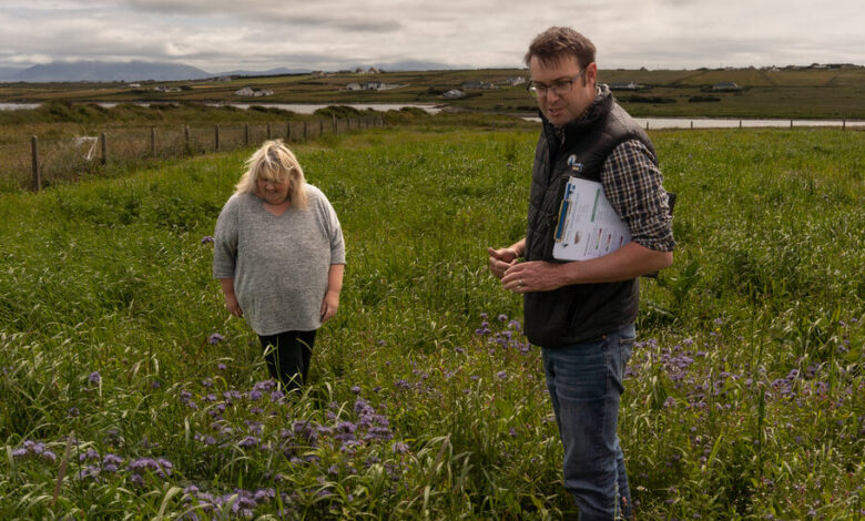 Agricultores irlandeses ayudan a salvar a un pájaro cuyas llamadas anunciaban el verano
