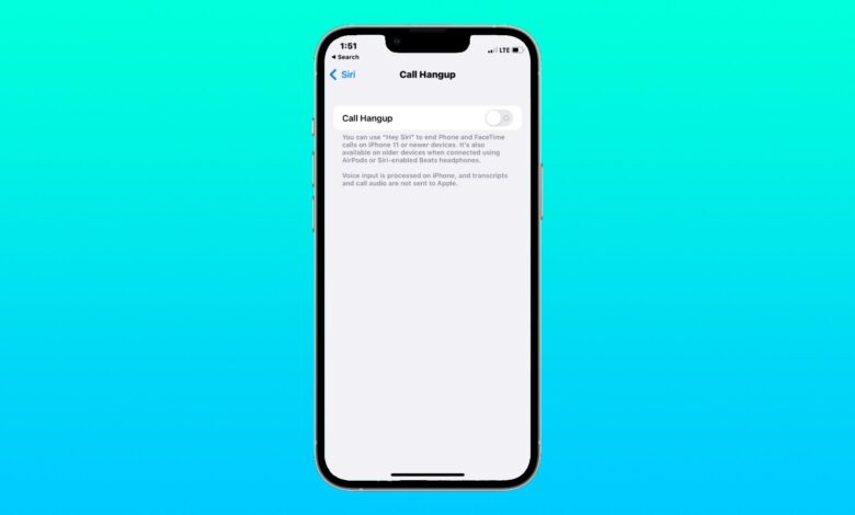 Cómo colgar una llamada con Siri en iPhone (iOS 16)