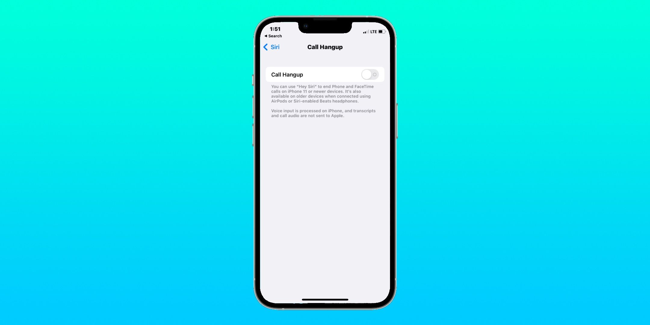 Cómo colgar una llamada con Siri en iPhone (iOS 16)