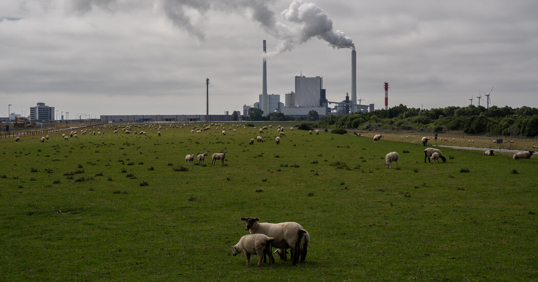 Cómo las empresas alemanas rechazan la amenaza de Putin de cortar el gas