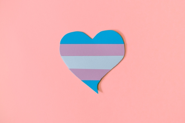 Cómo las nuevas empresas de atención médica que afirman el género están navegando por el miasma legal