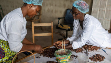 Costa de Marfil, un gran exportador de cacao, intenta ascender en la escalera