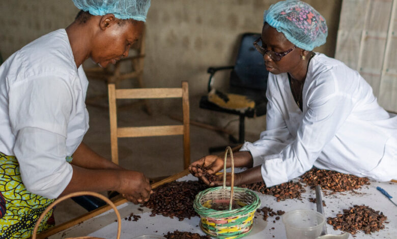 Costa de Marfil, un gran exportador de cacao, intenta ascender en la escalera