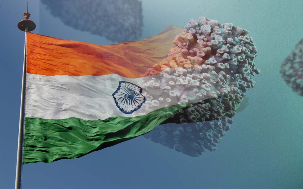 Detectan nueva variante de viruela del mono en India