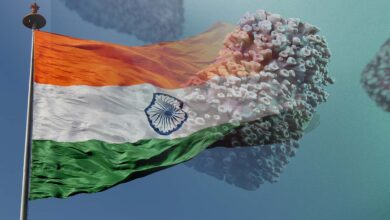 Detectan nueva variante de viruela del mono en India