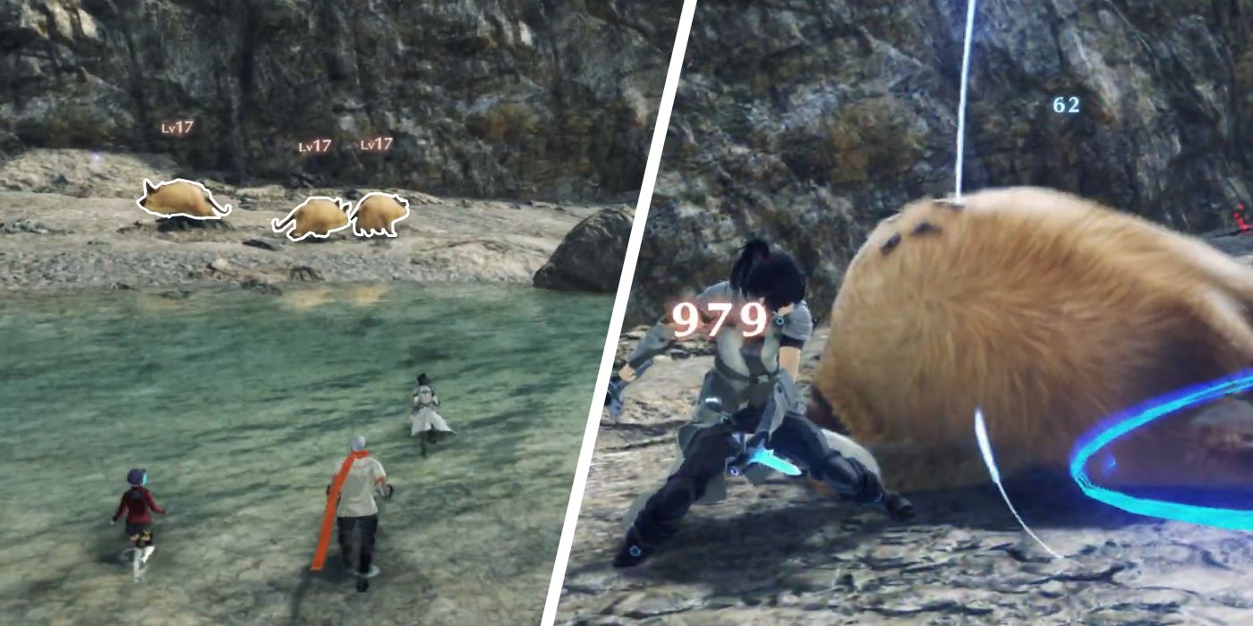 Dónde obtener manteca de cerdo Kapiba dulce en Xenoblade Chronicles 3