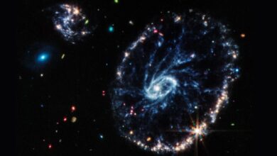 Echa un vistazo a la deslumbrante imagen de la galaxia Cartwheel del telescopio espacial James Webb