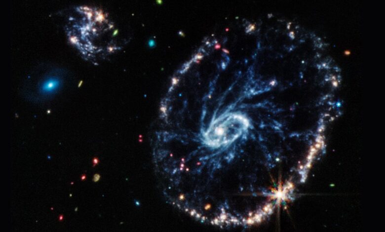 Echa un vistazo a la deslumbrante imagen de la galaxia Cartwheel del telescopio espacial James Webb