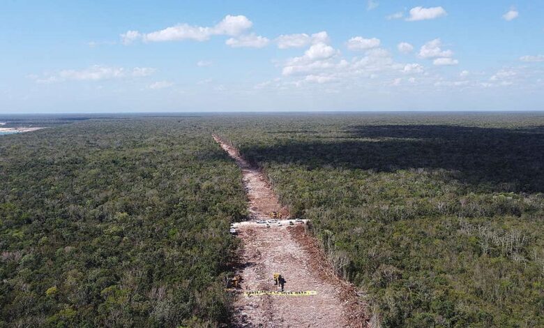 El Gobierno de México expropia terrenos para la construcción del polémico tramo 5 del Tren Maya