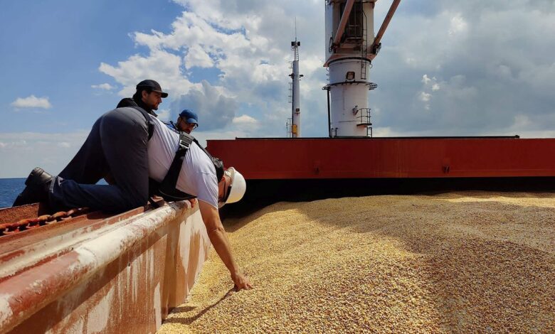 El corredor del grano en el mar Negro abre una puerta de esperanza ante la crisis alimentaria