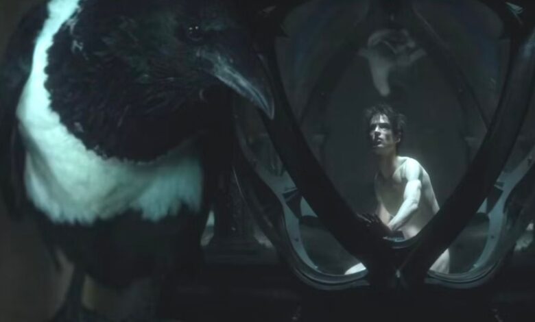The-Sandman-Jessamy-Raven-Dream-Endless-Morpheus
