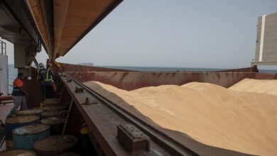 El primer barco humanitario con cereal ucranio atraca en África