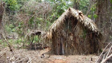 En Brasil, muere el último miembro de una tribu indígena aislada
