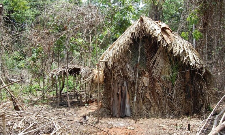 En Brasil, muere el último miembro de una tribu indígena aislada