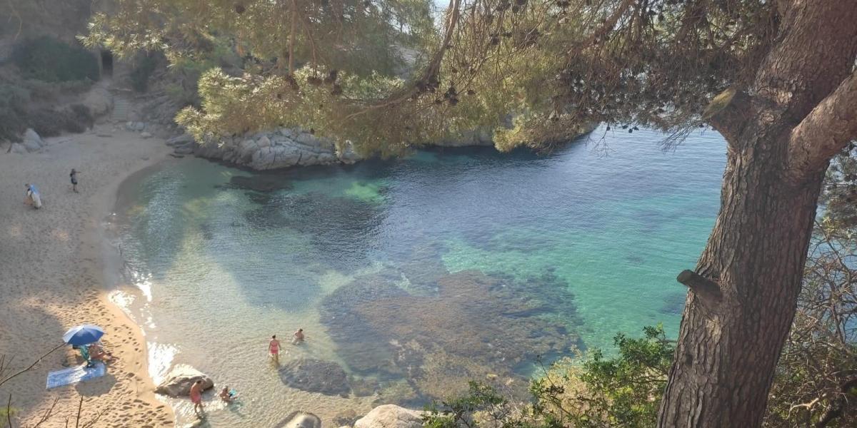 Encontrar 'Les Set Meravellas de Catalunya', objetivo del verano