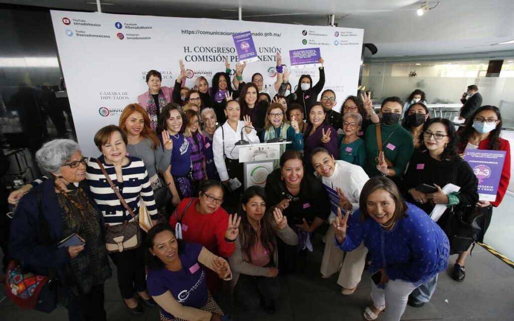 Exigen destitución de Rosario Piedra de CNDH por oponerse a la ley 3 de 3 sobre la violencia de género