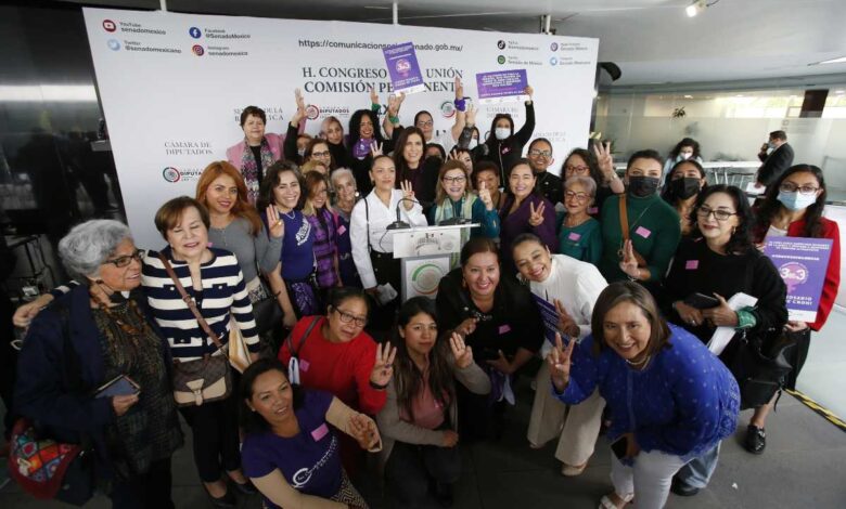 Exigen destitución de Rosario Piedra de CNDH por oponerse a la ley 3 de 3 sobre la violencia de género