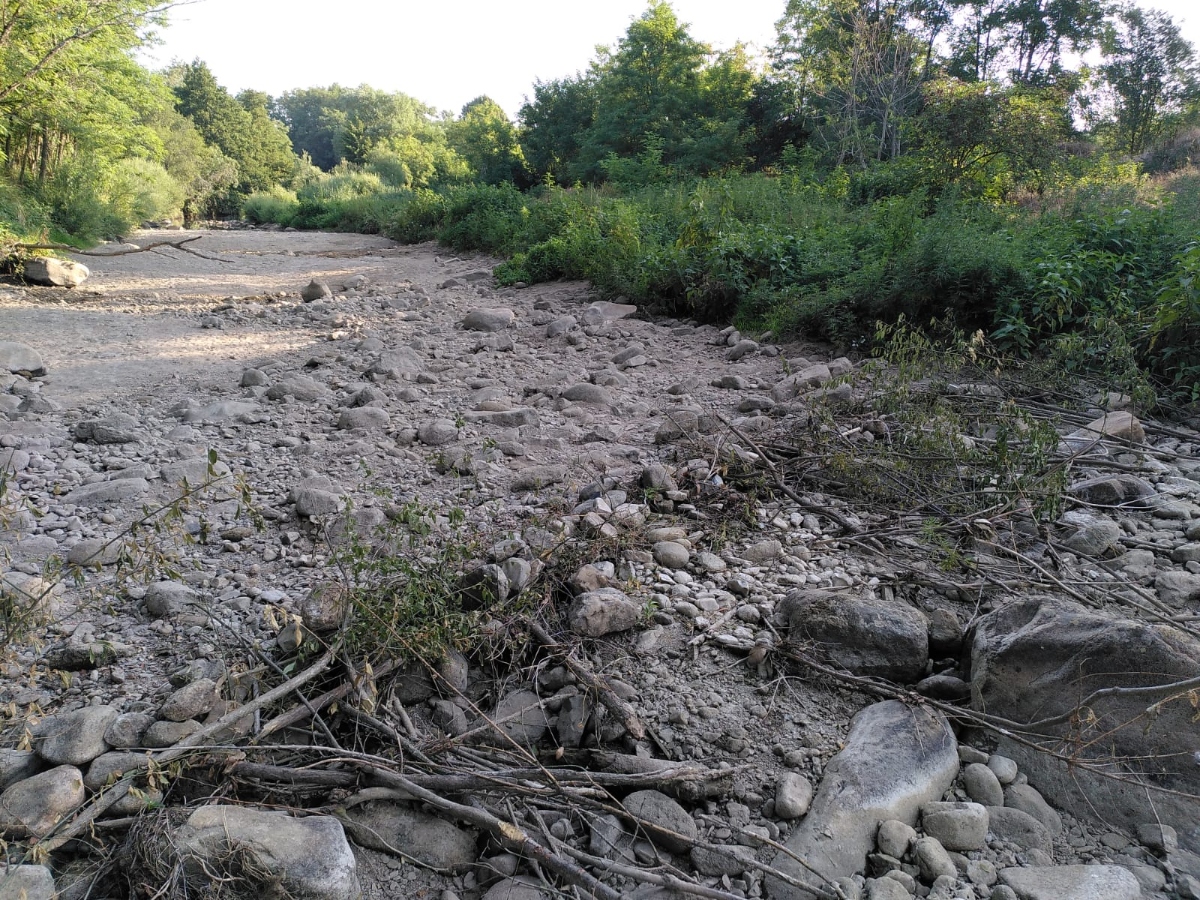 Francia atraviesa la peor sequía de su historia; más de 100 ciudades se quedan sin agua