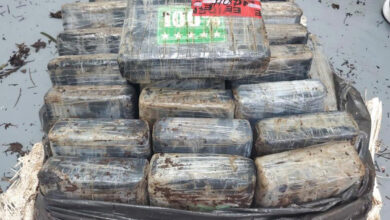 Hallan cocaína con valor de 2 mdd varada en costas de Florida
