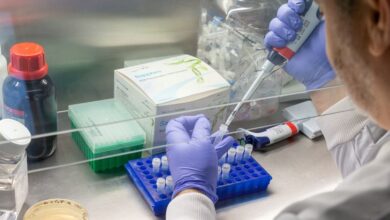 Identifican en China 35 contagios de henipavirus, un nuevo virus proveniente de murciélago