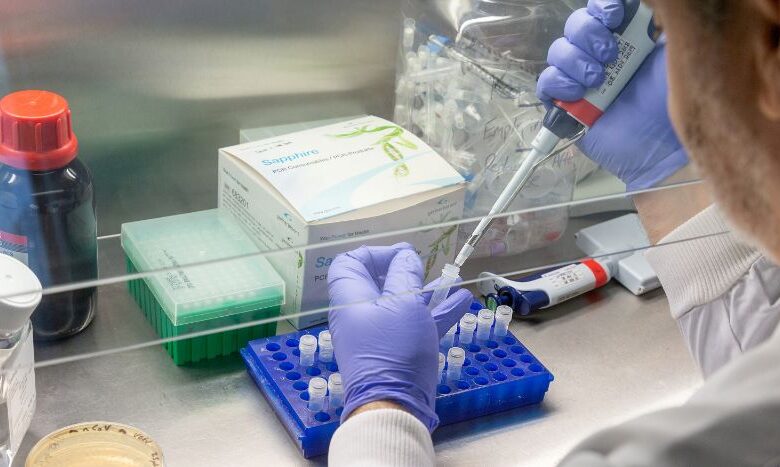 Identifican en China 35 contagios de henipavirus, un nuevo virus proveniente de murciélago