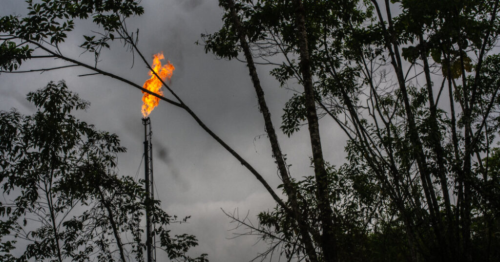 In the Amazon, a U.N. Agency Has a Green Mission, but Dirty Partners