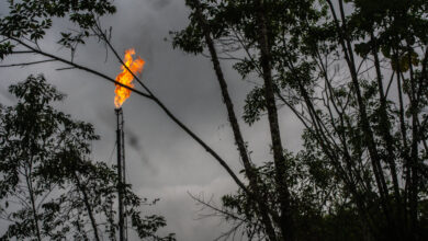 In the Amazon, a U.N. Agency Has a Green Mission, but Dirty Partners