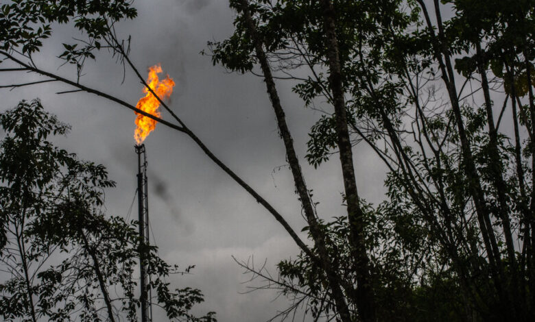 In the Amazon, a U.N. Agency Has a Green Mission, but Dirty Partners