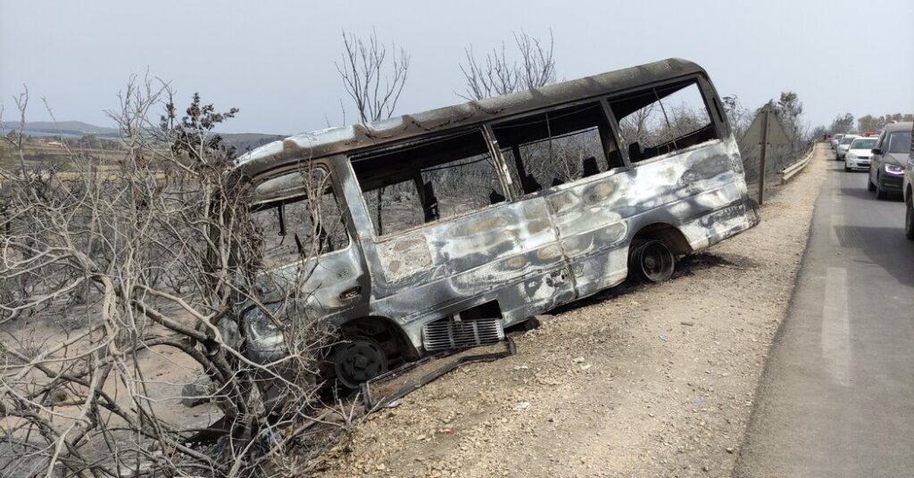 Incendios forestales de rápida propagación matan al menos a 37 personas en Argelia