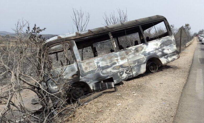 Incendios forestales de rápida propagación matan al menos a 37 personas en Argelia