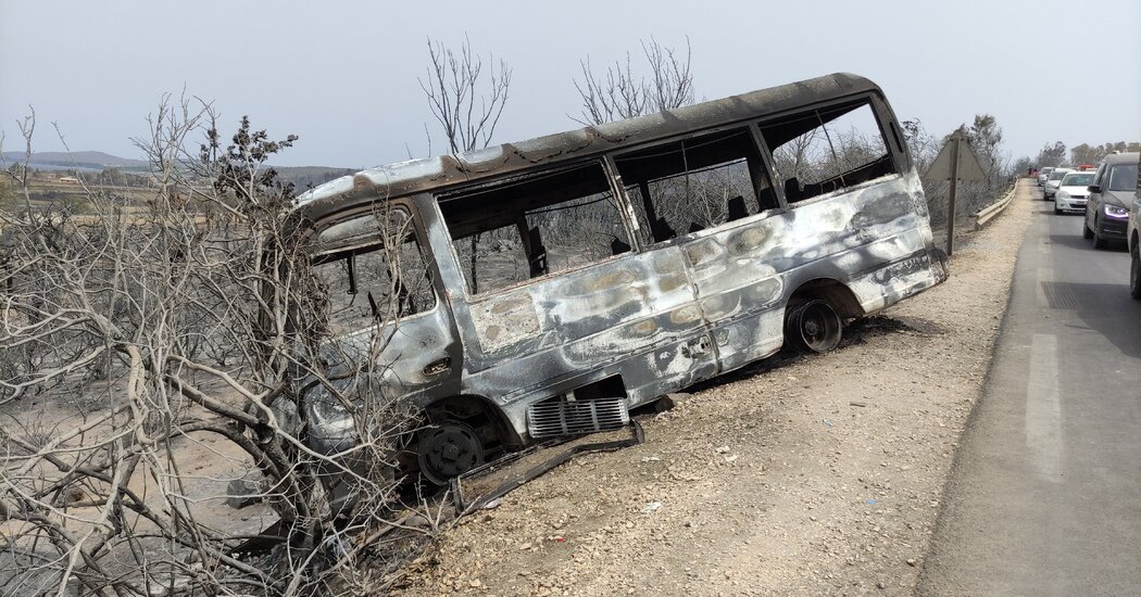Incendios forestales de rápida propagación matan al menos a 37 personas en Argelia