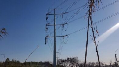 "La Argentina podría lograr un ahorro de alrededor de u$s 2000 millones en energía"